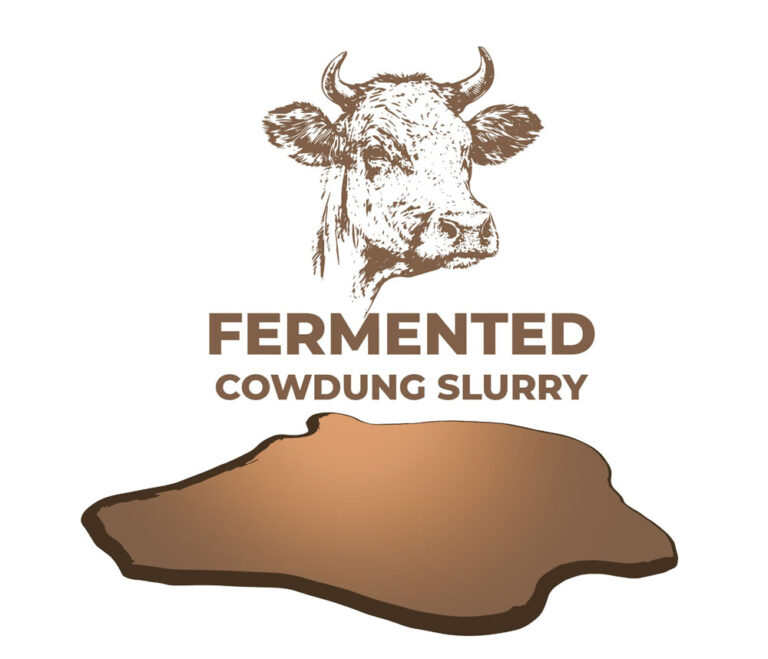 fermented-cowdung-slurry